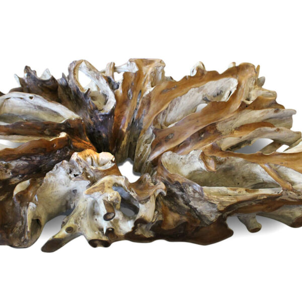 g167-massive-teakholz-wurzelholz-schoene-natur-wurzeltisch-kaffeetisch-150x100-teakwurzel-mitglas-couchtisch-1