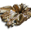 g167-massive-teakholz-wurzelholz-schoene-natur-wurzeltisch-kaffeetisch-150x100-teakwurzel-mitglas-couchtisch-2