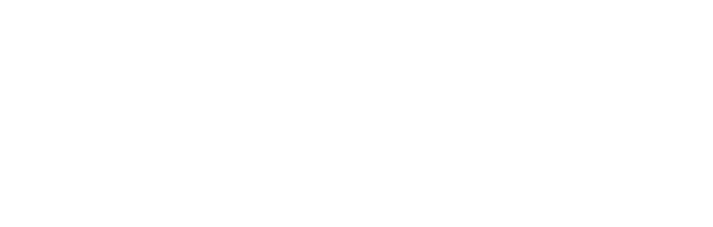 sofortüberweisung logo weiss