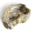 rbs1132-naturstein-massiv-waschbecken-60cm-fossil-holz-5