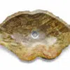 Naturstein Waschbecken aus Fossil Holz RBS1143