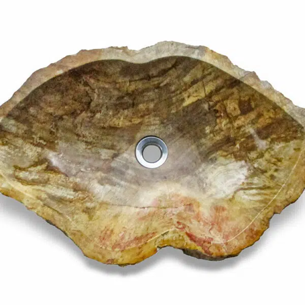 naturstein waschbecken aus fossil holz rbs1143