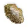 rbs1143 badezimmer naturstein fossil holz 60cm bussi waschbecken 2