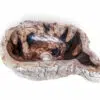waschbecken flussstein naturstein waschschale aufsatzwaschbecken 40cm rbs1243 2