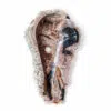 waschbecken flussstein naturstein waschschale aufsatzwaschbecken 45cm rbs1238 4