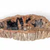 rbs1251 badezimmer massiv waschschale steinwaschbecken fossil holz 59cm waschbecken 2