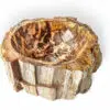 rbs1257 badezimmer massiv waschschale steinwaschbecken fossil holz 40cm waschbecken 2