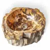 rbs1257 badezimmer massiv waschschale steinwaschbecken fossil holz 40cm waschbecken 3