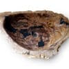 rbs1261 2 fossil holz waschbecken rbs1261