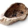 rbs1261 3 fossil holz waschbecken rbs1261