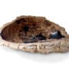 rbs1261 6 fossil holz waschbecken rbs1261