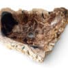 fossiles waschbecken aus versteinertem holz naturstein