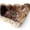 fossiles waschbecken aus versteinertem holz naturstein