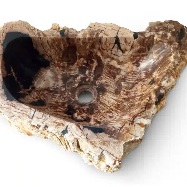 fossiles waschbecken aus versteinertem holz naturstein