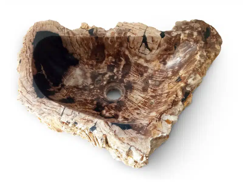 fossiles waschbecken aus versteinertem holz naturstein
