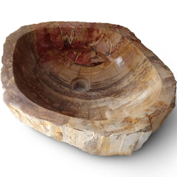 Fossil Versteinertes Holz Waschbecken